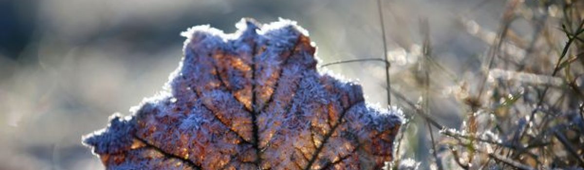 Keep safe, fit and health during the cold weather