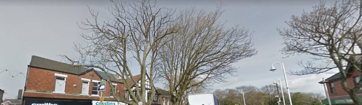 Sefton Council asked to fell diseased tree on Chapel Lane, Formby