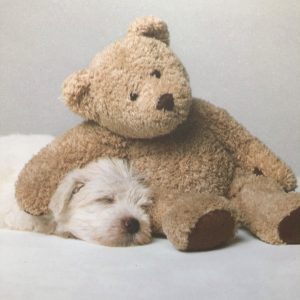 Picture of a Father's Day Card