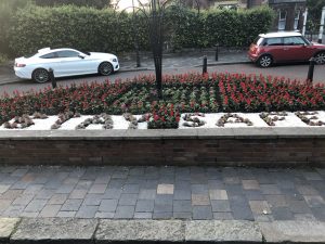 Stay Safe flower bed display n Southport
