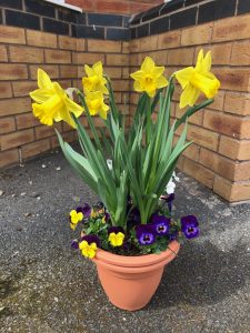 Example of a 'Growing circle' street planter