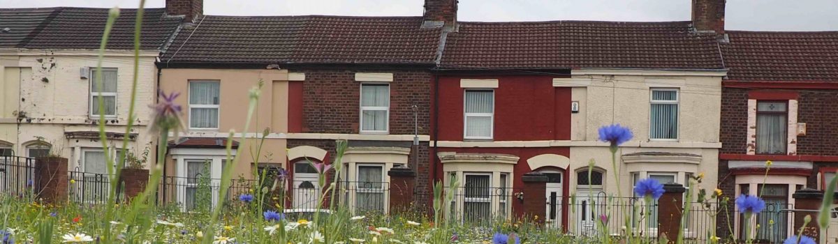 New wildflower meadows to be created in south Sefton by community gardeners