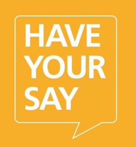 Have your say graphic