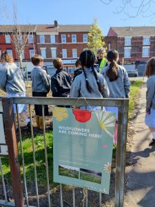 School children helping with wildflower meadow planting