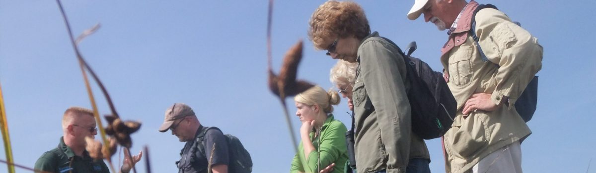 Take a guided walk with Green Sefton this Mental Health Awareness Week