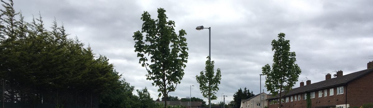 Council’s Green Sefton service takes a bough after tree-mendous planting season