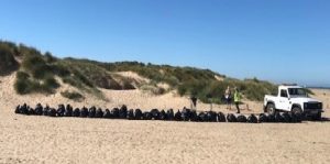 30 bags of rubbish collected from the area around just one bin at Ainsdale beach.
