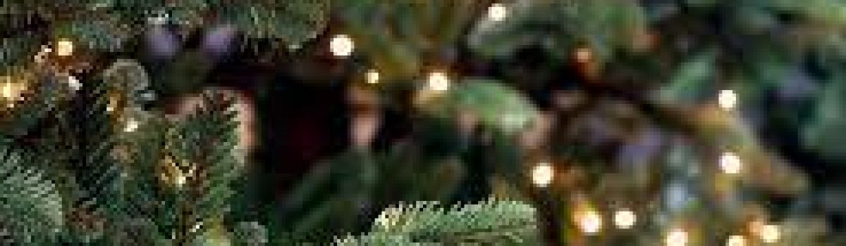 Sefton spreads christmas cheer with special communitrees
