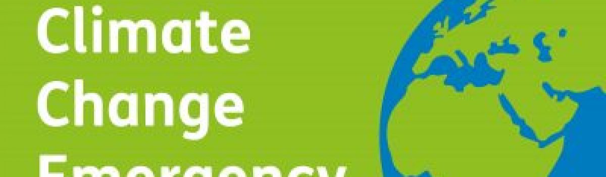 Sefton Council looking forward to a greener 2022