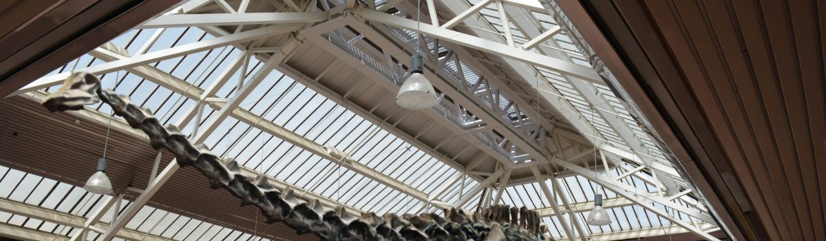 Bootle is deeply dippy for Dippy!