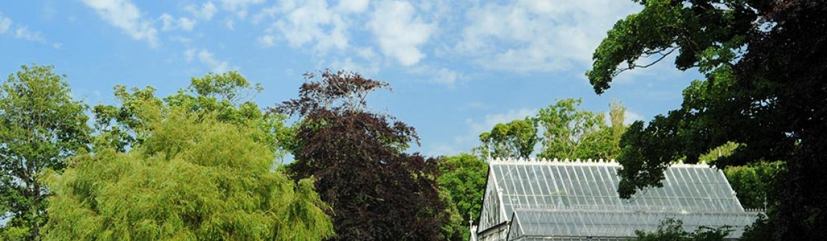 Love Parks Week is here, the perfect time to celebrate local parks
