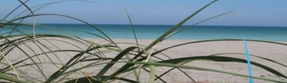 The impact of plastic on Sefton’s Natural Coast