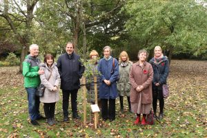 Members of Sefton Council and Association of Jewish Refugees stand around newly planted oak tree inAlexandra Park in Crosby