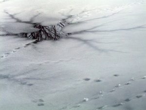 Broken ice