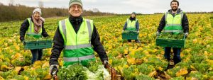 Photo of people gleaning as part of the Regenerus – The Big Community Glean Up project.