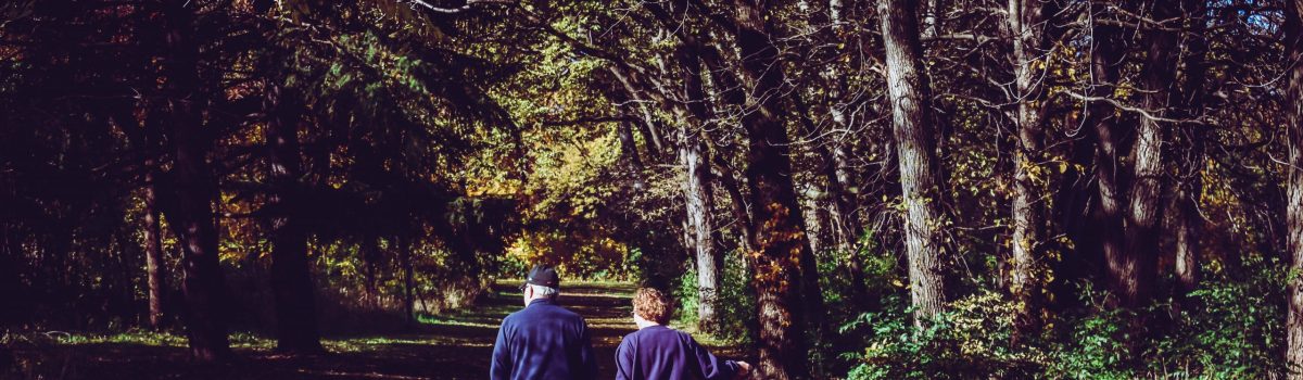Winter walks feeling like a chore? Sefton is a haven of dog walking routes to explore